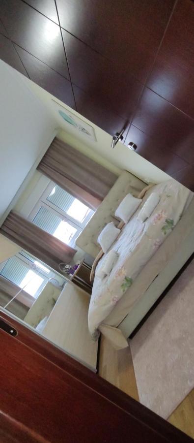 Apartman Mali Raj Врнячка-Баня Экстерьер фото